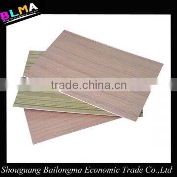 Not anti-dumping duty 1220*2440*15mm one face birch plywood for market