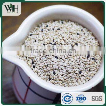 Machine Cleaned Indian Natural White Sesame photo-2