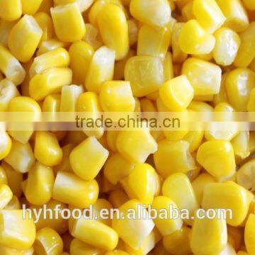 IQF frozen Super Sweet Corn Kernels good price healthy food