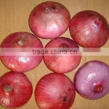 red onion