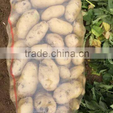 Fresh Chinese potato packing in mesh bag