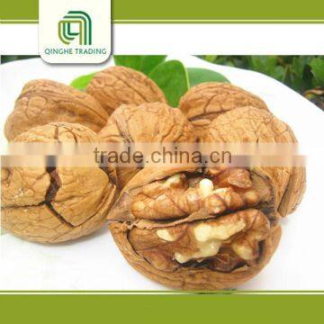 dried fruit walnut and walnut kernels walnut without crust for sale