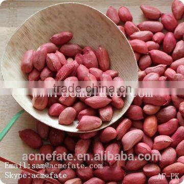 Chinese HACCP Certification long type blanched red skin peanut kernels