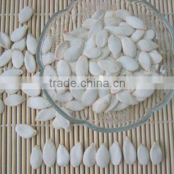 quality supplier snow white melon pumkin seeds