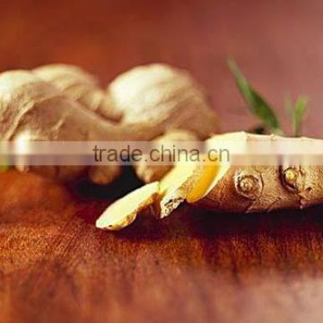 100% Organic Gan Jiang Extract Powder