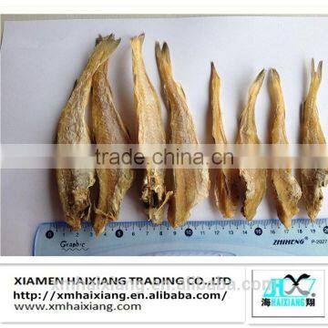 Dried salted cod fish sale price