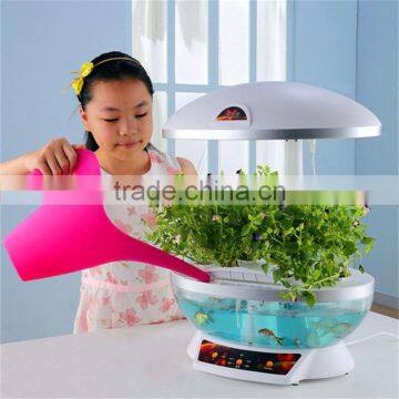 Wholesale Aquarium Tanks photo-3