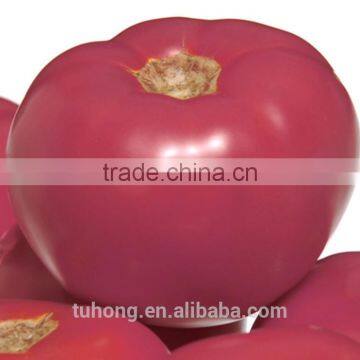 Package of 1000 Seeds High Resisitance China Pink Tomato Seeds