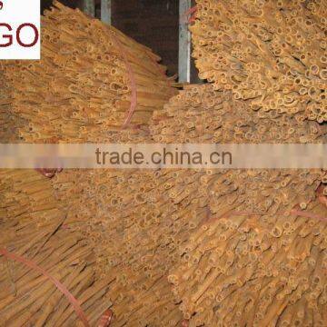 Cinnamon With Competitive Price and Good Price photo-2