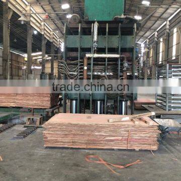 DIRECTLY MANUFACTURER PLYWOOD IN VIETNAM