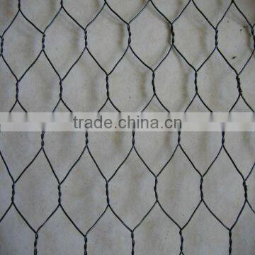 galvanized hexagonal wire mesh(good selling chicken wire netting)