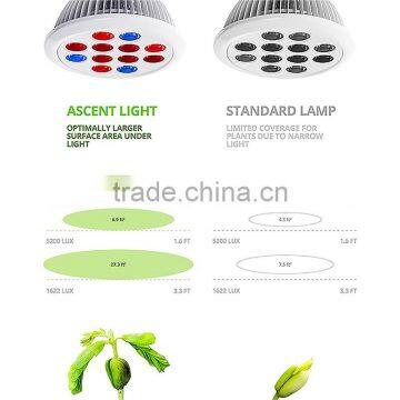 Advanced Plantinum Led Grow Lights 12w Full Spectrum Led Grow Lights 4 Leds 3red+blue Lamp for Flowerring photo-5