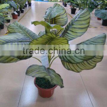 SJ12001162 Name Potted Decorative Foliage Plant Plastic Plant Indoor photo-3