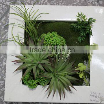 Indoor and Outdoor Artificial Succulent Plants Wall New Item Indoor Plant Wall photo-6