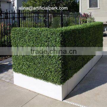 Wihte Planter Artificial Boxwood Hedge