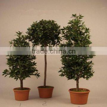 different types of plants and trees artificial olive trees ornamental artificial plant