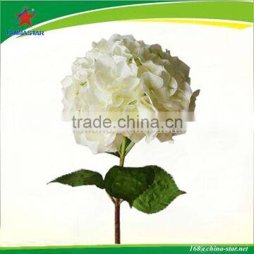 white silk hydrangea