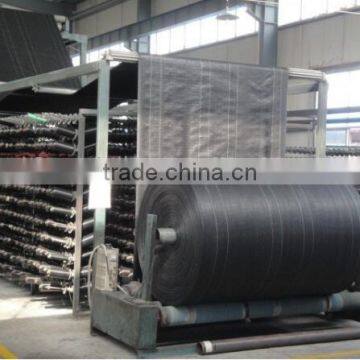 Agricultural pp Weed Mat Black Plastic Ground Cover for Sale photo-2