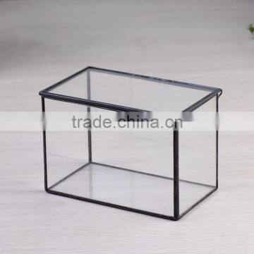 Garden Decoration Geometric Glass Terrarium / Cube / Handmade Glass Plant Flower Pot for Indoor Garden photo-2