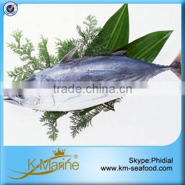 China Supplier Seafood Frozen Fish Wr lot number#kmw4023