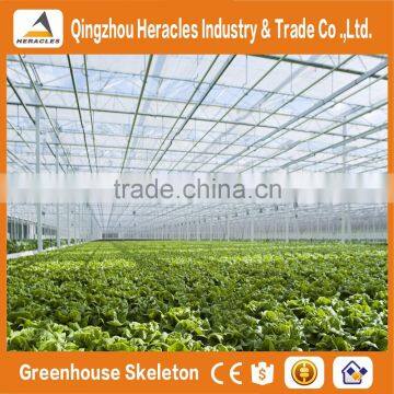 Heracles Trade Assurance vegetables multi-span greenhouse