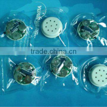 water-proof music chip for clothes,T-skirt,pants or others