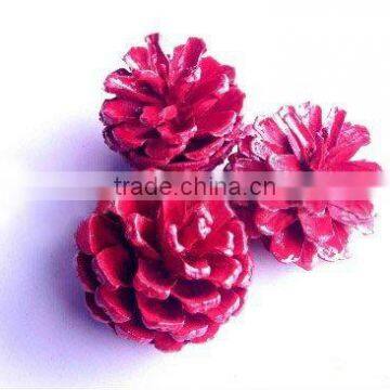 decorative red pine cones