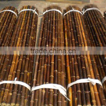 Natural Clean Dry Straight Cheap Treated Black Bamboo Poles