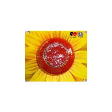 Pursue a Healthy Life-Nilton Tomato Sauces photo-2