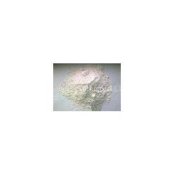 Skim Coat Interior Wall Putty White Powder For Paint Primer
