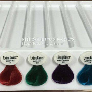 Detachable Hair Color Chart photo-4