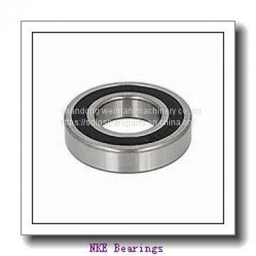 NKE Bearings