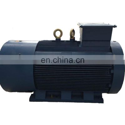 IC411 TEFC Cast Iron frame 6 kV 10 KV 11 KV Motor