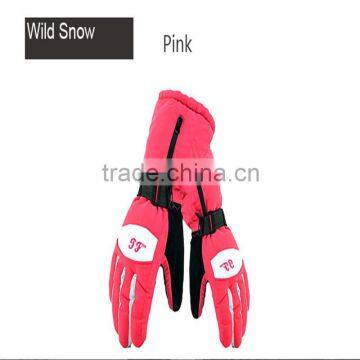 Professional Highly Waterproof & Super Warm Ski Gloves