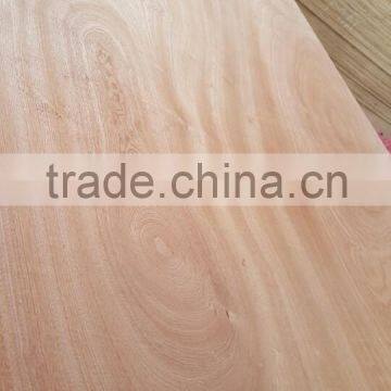 plywood board with moisture 8%-14%