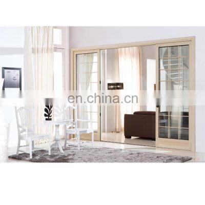 Fiberglass Screen Door for Sliding Door Sash Modern Design Door