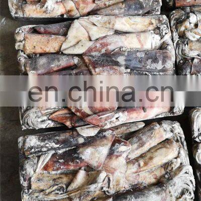 Whole Round Frozen Giant Squid Peru Giant Squid Dosidicus Gigas photo-3