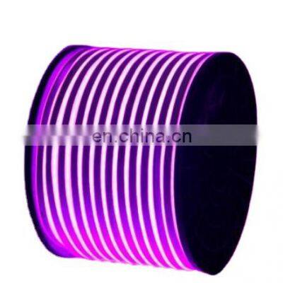 Super Neon LED Lights Christmas Mini 8x16mm Flexible 24V LED Neon Strip Light