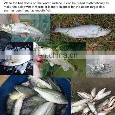 Best Sale Sea Fishing Equipment Fish Hunter Fish Hunter DL1D Pencil 80MM 9G Minnow Lures Fishing