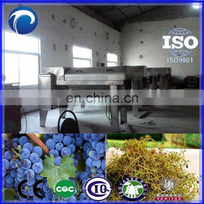 Energy-saving Full Automatic Grape Destemmer Machine | Grape Crusher Stemmer photo-2