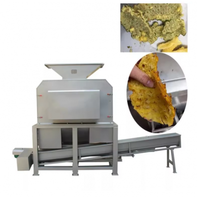 Industrial Equipment Automatic Fruit Juice Production Line