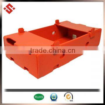 2015 Wholesale Coroplast PP Fruit Tray photo-2
