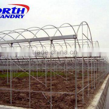 Commercial Greenhouse for Agriculture photo-4