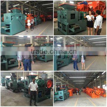Henan Mining Equipment Briquette Making Machine for Sale, Briquette Machine for Chemical Salts photo-2