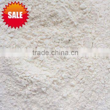 Shandong New crop Dehydrated Garlic Powder ---USA & EU market