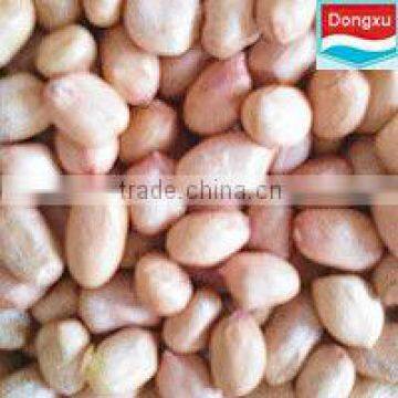 groundnut / peanut kernels baisha 40/50