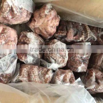 2016 Frozen Baby Octopus 20-60g/pcs for Sale