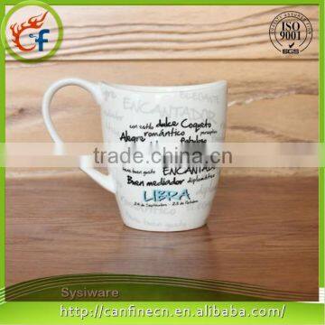 Color Change Photo Changing Mug With Hot Water Cold