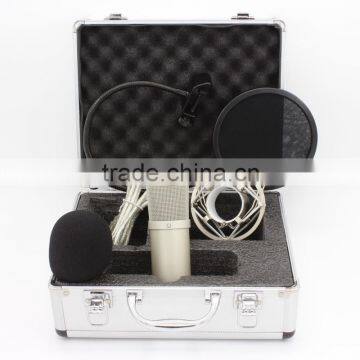 Large Capsule Condenser USB Microphone Recording Set