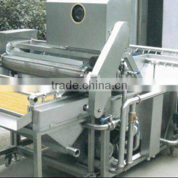 Fruit Washer Machine